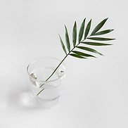 Image by Sarah Dorweiler