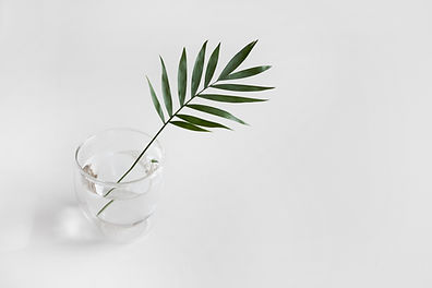 Image by Sarah Dorweiler