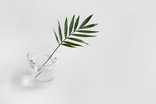 Image by Sarah Dorweiler
