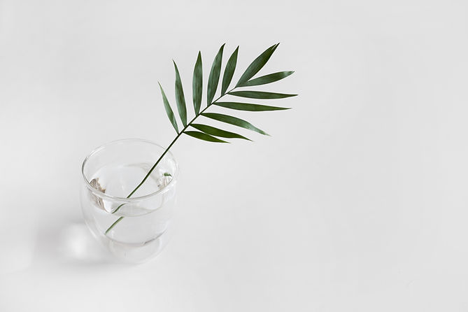 Image by Sarah Dorweiler