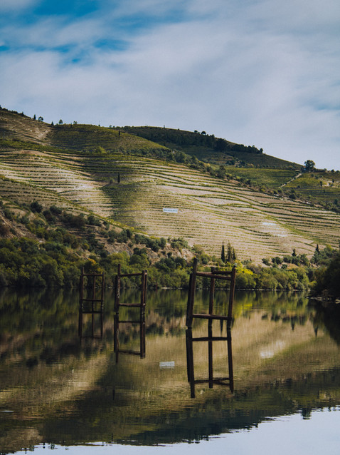 Image by Davy De Groote