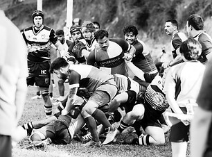 Image by Quino Al