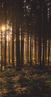 Image by Daniel Peters
