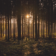 Image by Daniel Peters