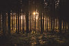 Image by Daniel Peters