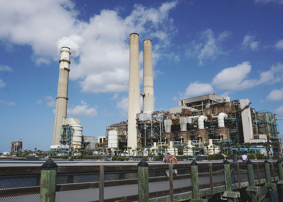 Image by The Tampa Bay Estuary Program