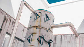 Demystifying the Plumbing: Understanding How Showers Work