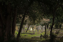 Image by Edward Howell
