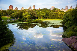 Image by Hector Argüello Canals