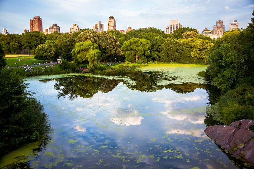 New York Upper east side view