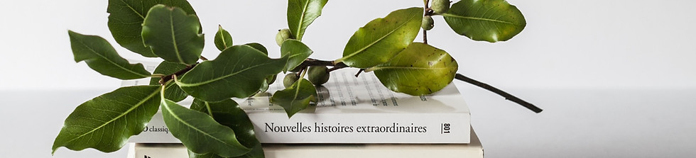 Image de Alex Loup