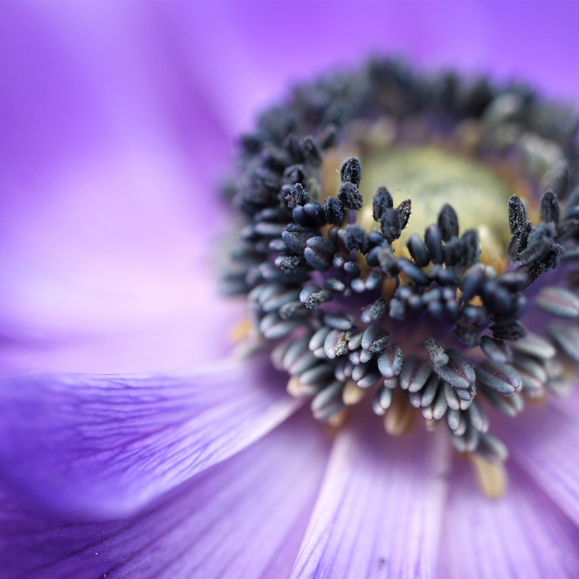 Health & Wellbeing Program: Milford, NJ September 23-26, 2021