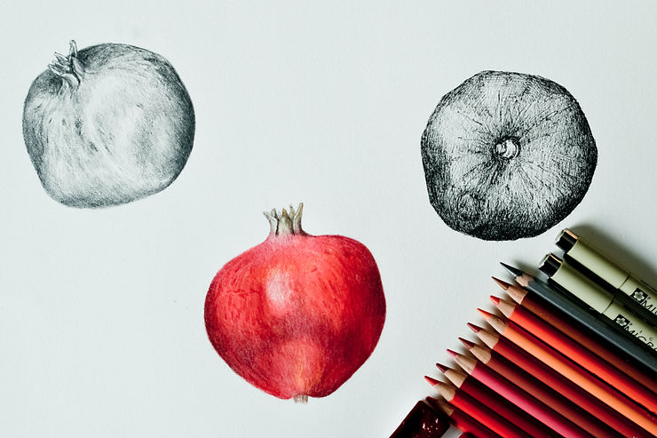 Three pomegranates drawn on white paper, two in graphite and one red, with colored pencils at lower right.