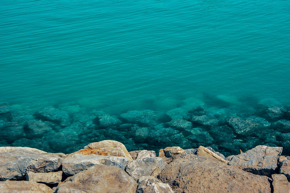 Image by Mitul Grover