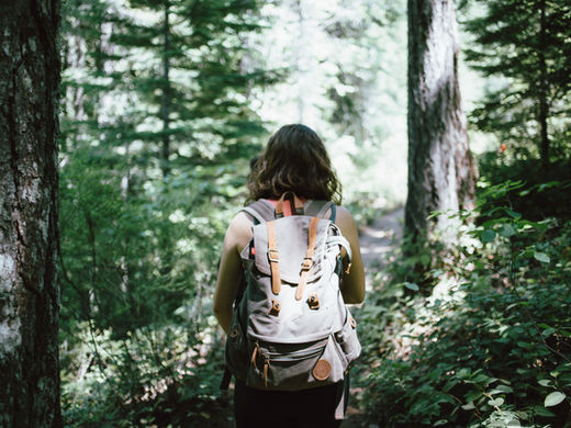 Using Nature to Repel Nature?