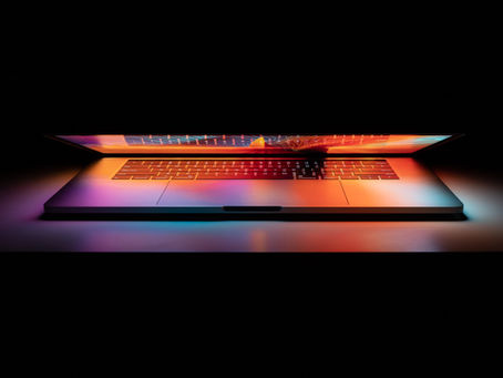 The AI Minefield: AI Security, Privacy, and Data Risks in Professional and Personal Use