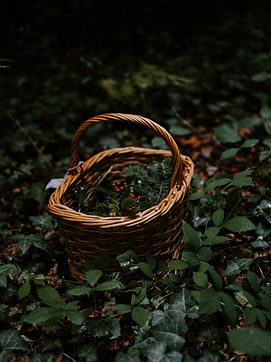 Image by Annie Spratt