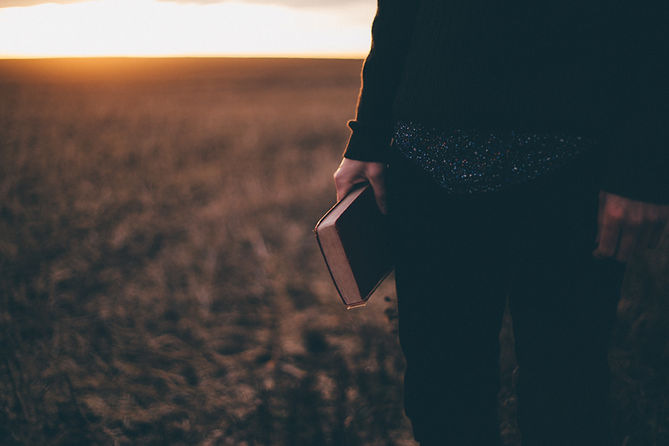 Image by Priscilla Du Preez