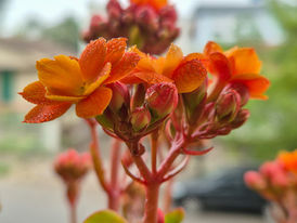 Artigo: Insistir no que já acabou não é fidelidade, é medo . O segredo das estações