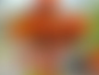 Artigo: Insistir no que já acabou não é fidelidade, é medo . O segredo das estações