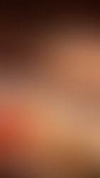 Perfect Pairings: How to Match Silverwood Wines with Food