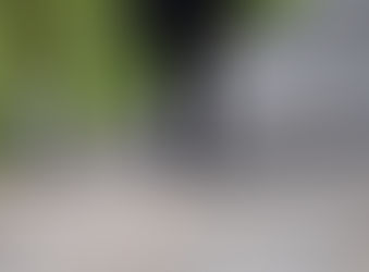 New Year's Resolution - Walk Your Dog for Better Health