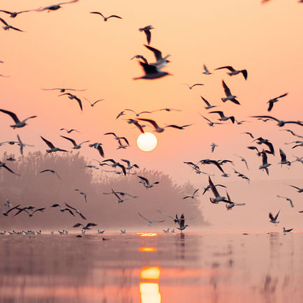 Image by Anuj Yadav