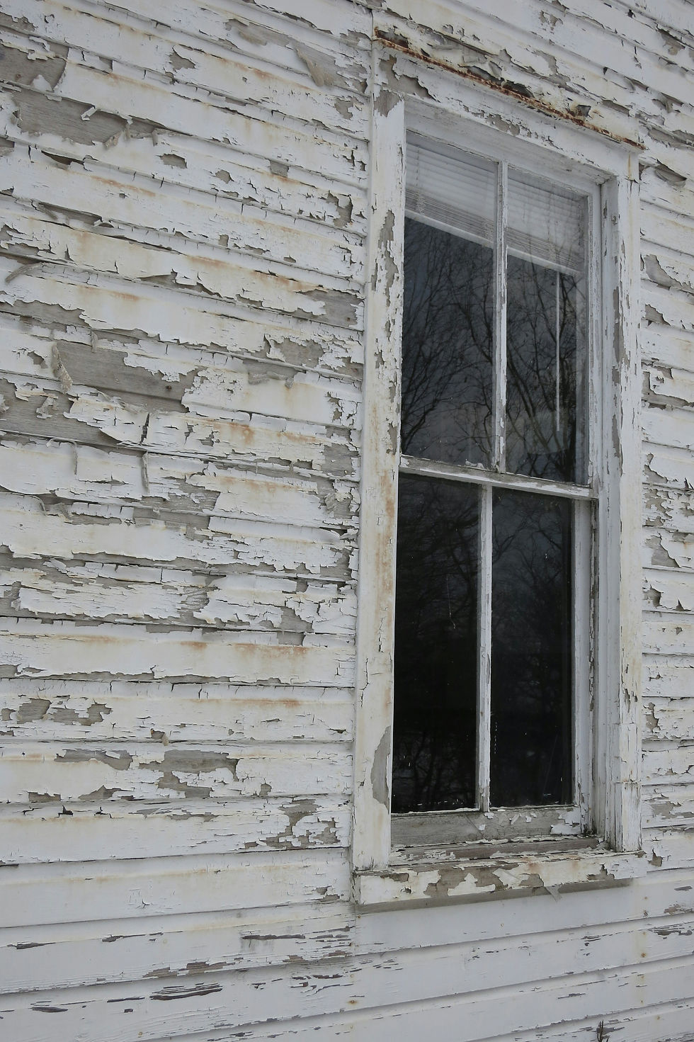 Close-up view of a paint inspector examining a wall for peeling paint