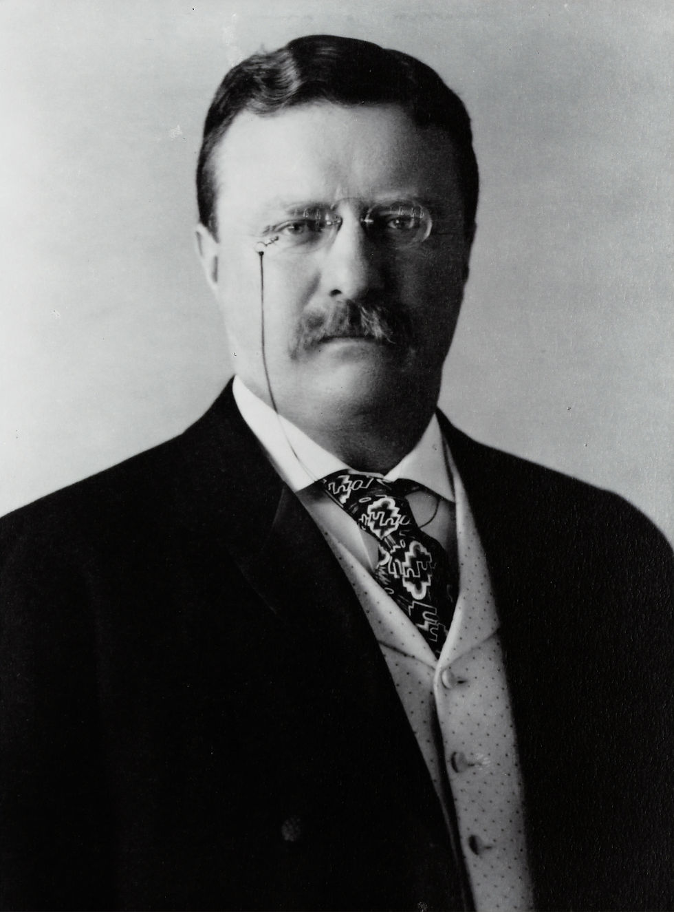 A black and white photograph of a posed Theodore Roosevelt