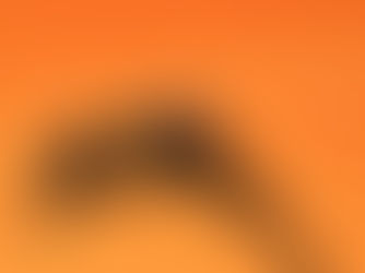 Getting Rid of My Arachnophobia