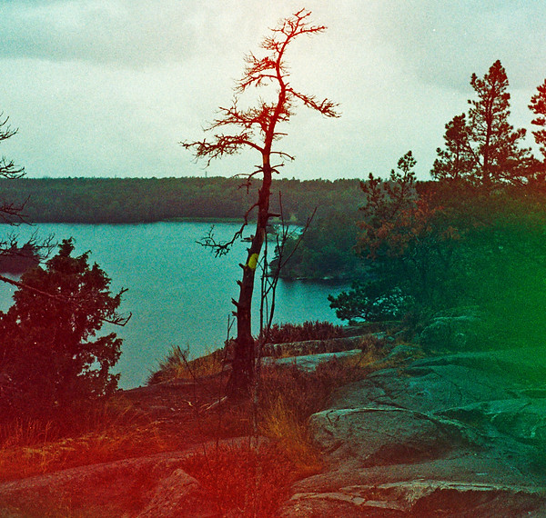 Image by Scott Evans
