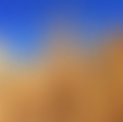 Les bienfaits du blé : une céréale aux multiples vertus nutritionnelles