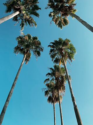 Image by Andrew Pons