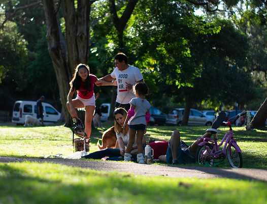 Image by Francisco Rioseco