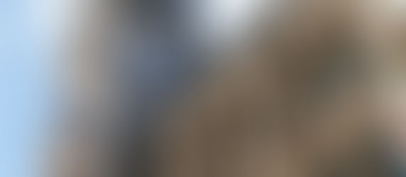 Ondanks de nieuwe heffingen blijft de begroting van Stad Brussel in erg precaire toestand verkeren