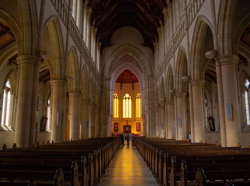 Image by Steffi Pereira