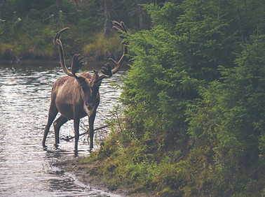 Image by Thomas Lefebvre