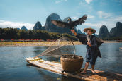 Where Fishermen and Cormorants Still Work as One