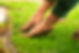 Septic Inspections