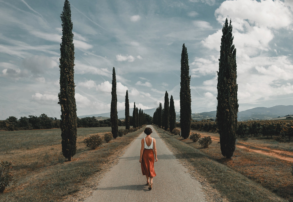 Image by Clay Banks