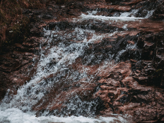 PFAS part one: What are PFAS and how are they impacting marine ecosystems?