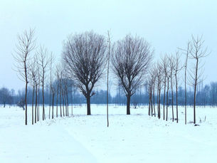 The Quiet Power of Choosing Alignment Over Urgency