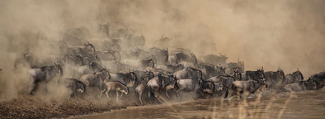 Image by Shripal Daphtary