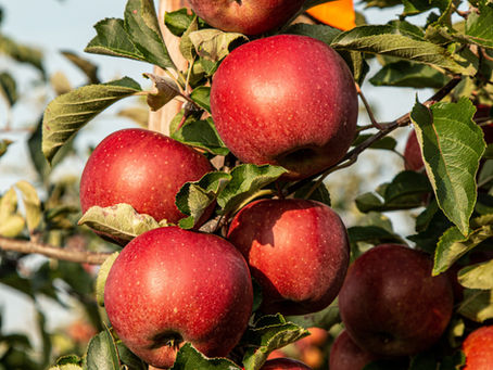 Auch im Garten gilt: weniger ist mehr