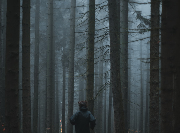 Image by Jakub Kriz