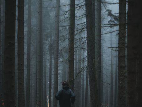 Stop Running