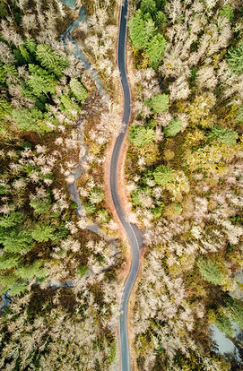 Image by Dave Hoefler