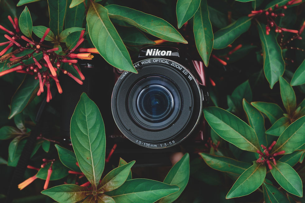 Nature Photography Workshop