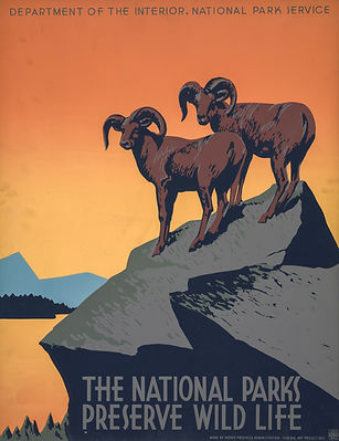 Image by Library of Congress
