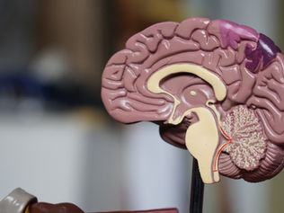 The Alzheimer's Drugs Showing Early Promise